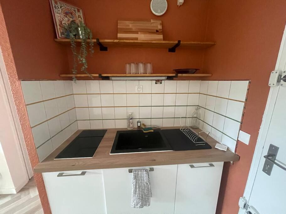Appartement Cap D'Agde Dans Residence Avec Piscine Dış mekan fotoğraf